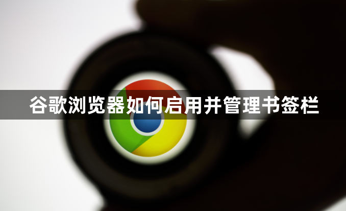 谷歌浏览器如何启用并管理书签栏1