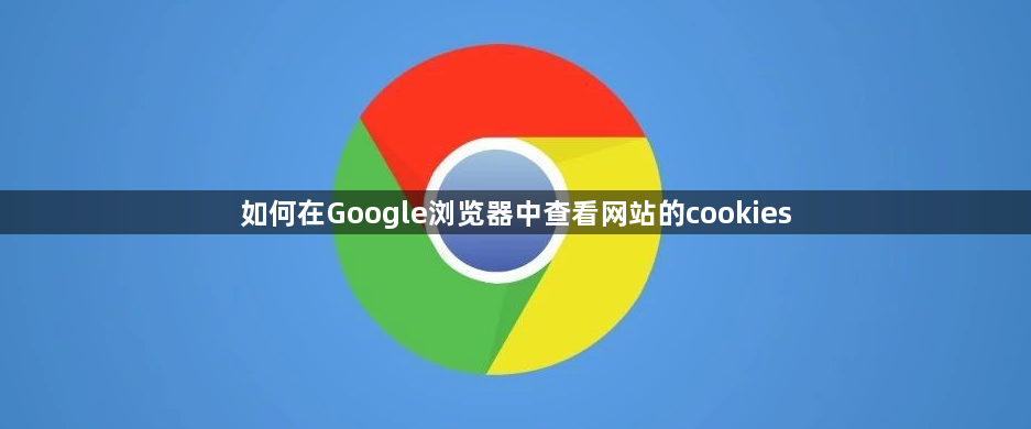如何在Google浏览器中查看网站的cookies1