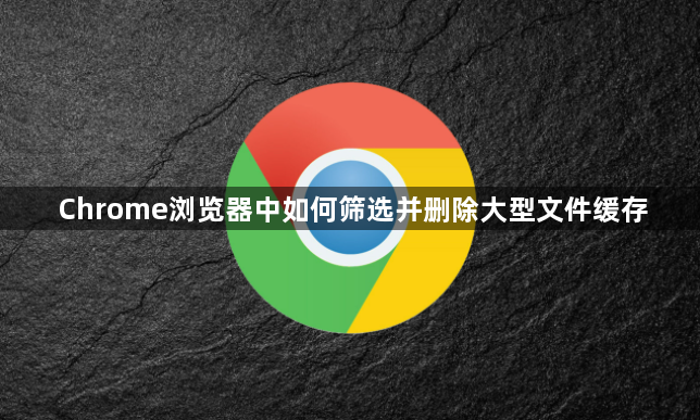 Chrome浏览器中如何筛选并删除大型文件缓存1