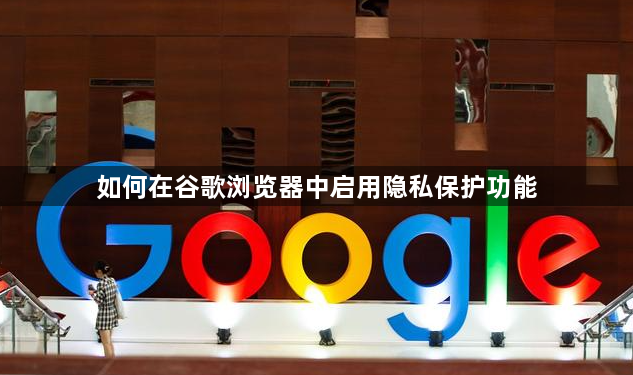 如何在谷歌浏览器中启用隐私保护功能1