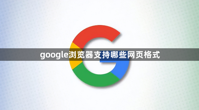google浏览器支持哪些网页格式1