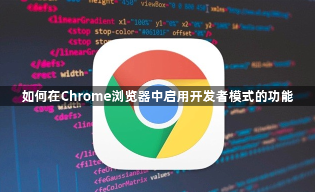 如何在Chrome浏览器中启用开发者模式的功能1