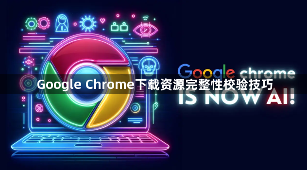 Google Chrome下载资源完整性校验技巧1