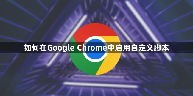 如何在Google Chrome中启用自定义脚本1