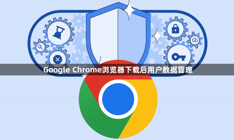 Google Chrome浏览器下载后用户数据管理1