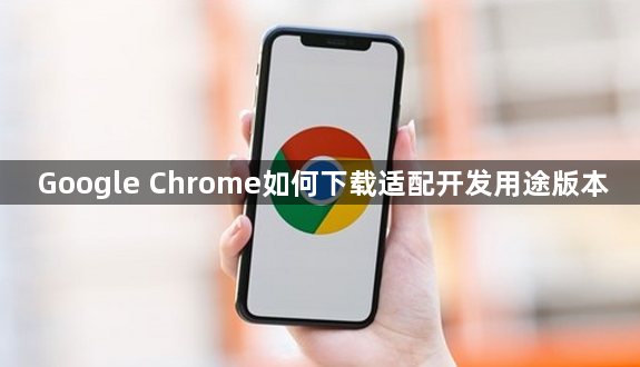 Google Chrome如何下载适配开发用途版本1