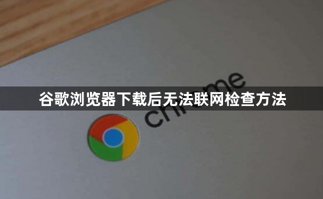 谷歌浏览器下载后无法联网检查方法1