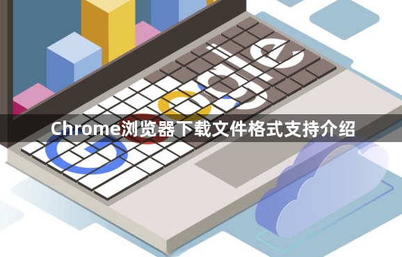 Chrome浏览器下载文件格式支持介绍1