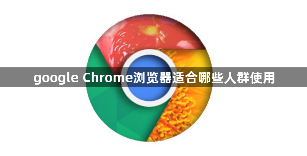 google Chrome浏览器适合哪些人群使用1
