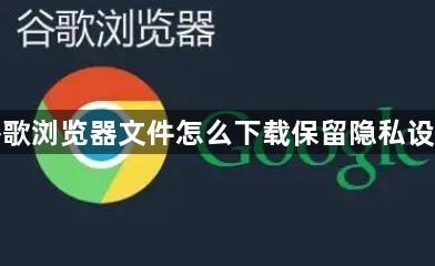 谷歌浏览器文件怎么下载保留隐私设置1