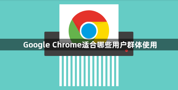 Google Chrome适合哪些用户群体使用1
