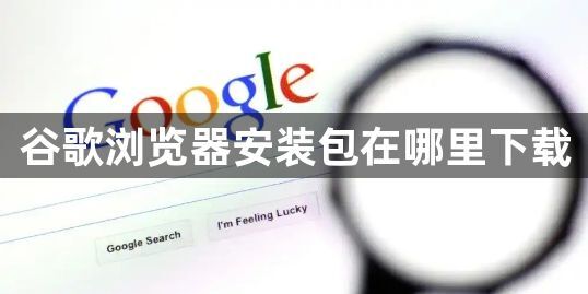 谷歌浏览器安装包在哪里下载1