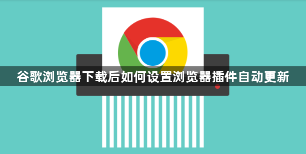 谷歌浏览器下载后如何设置浏览器插件自动更新1