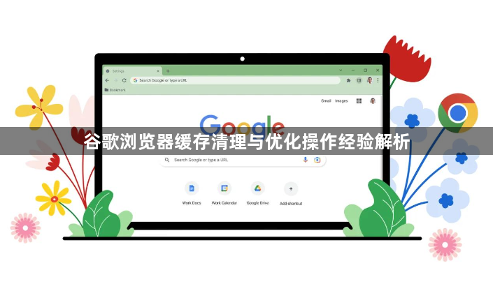 谷歌浏览器缓存清理与优化操作经验解析1