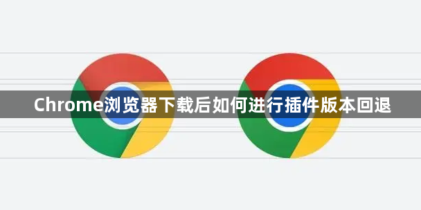 Chrome浏览器下载后如何进行插件版本回退1