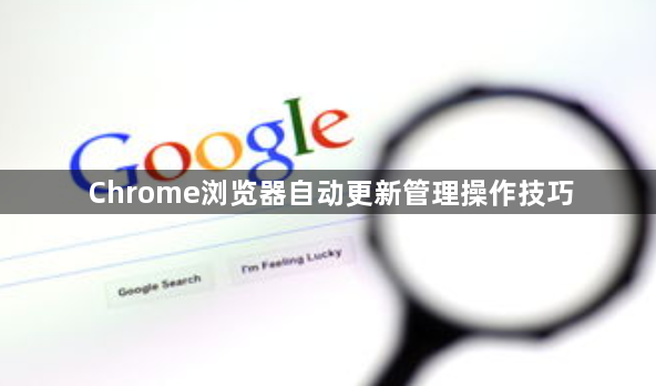 Chrome浏览器自动更新管理操作技巧1