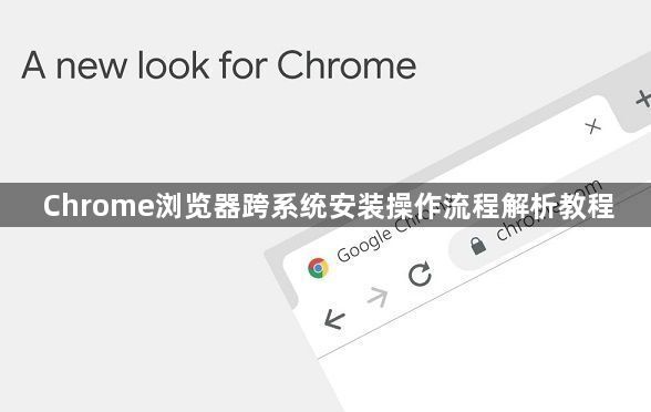 Chrome浏览器跨系统安装操作流程解析教程1