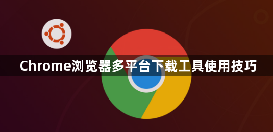 Chrome浏览器多平台下载工具使用技巧1