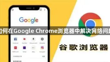 如何在Google Chrome浏览器中解决网络问题1