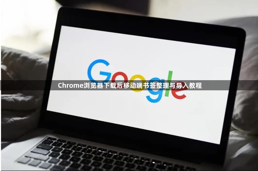 Chrome浏览器下载后移动端书签整理与导入教程1